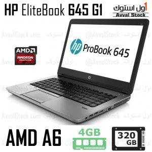 لپ تاپ استوک Hp ProBook 645 G1 AMD A6